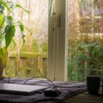 Creating the Ultimate Garden Office Space